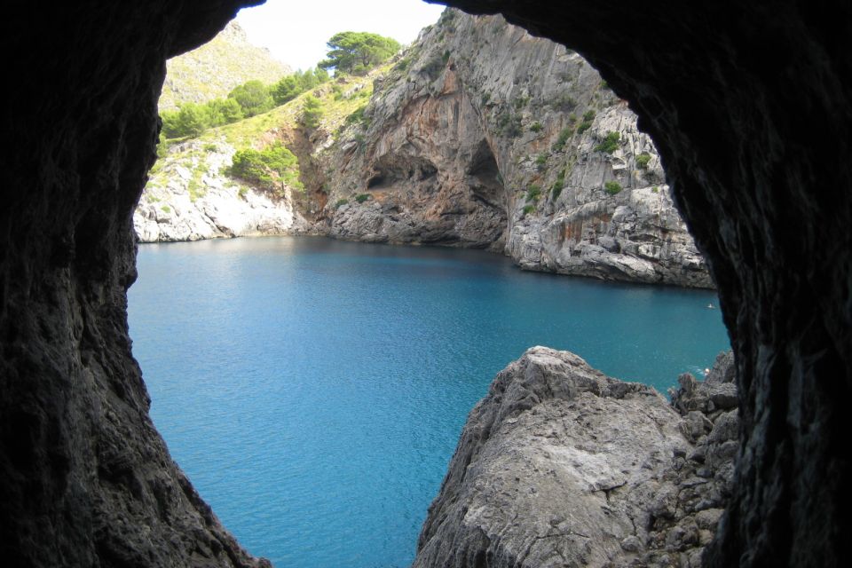 Mallorca: Island Tour with Boat, Train, and Hotel Transfer - Key Highlights You’ll Care About