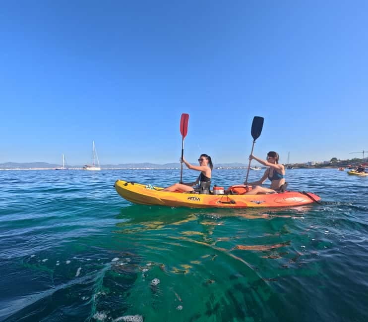 Mallorca: Kayak Rental - Paddling the Bay of Palma: The Best Part Is Being Above It All