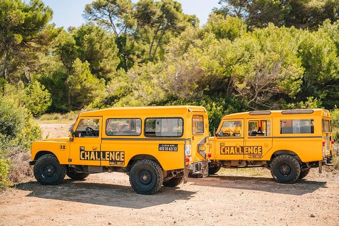 Mallorca: Kayaking, Sea Cave, Cliff Jumping & Snorkel Tour - Yellow Fun-Bus Pickup and Alcúdia Timing That Keeps It Fun