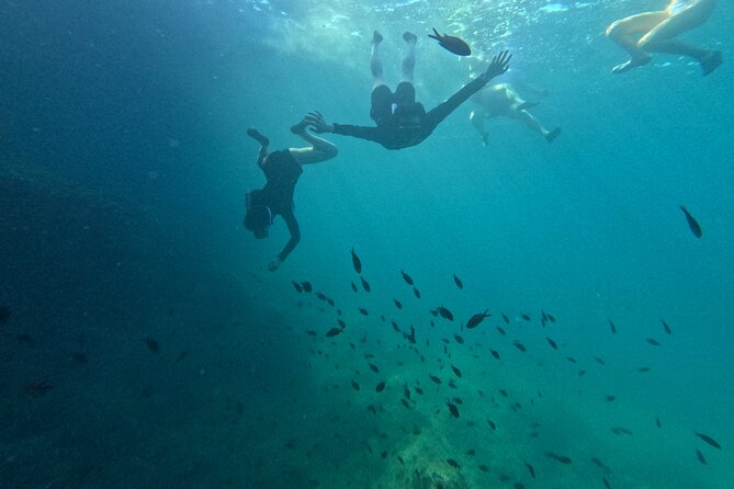 Mallorca: Kayaking, Sea Cave, Cliff Jumping & Snorkel Tour - Snorkeling in the Mediterranean: Clear Water and Real Marine Life Viewing