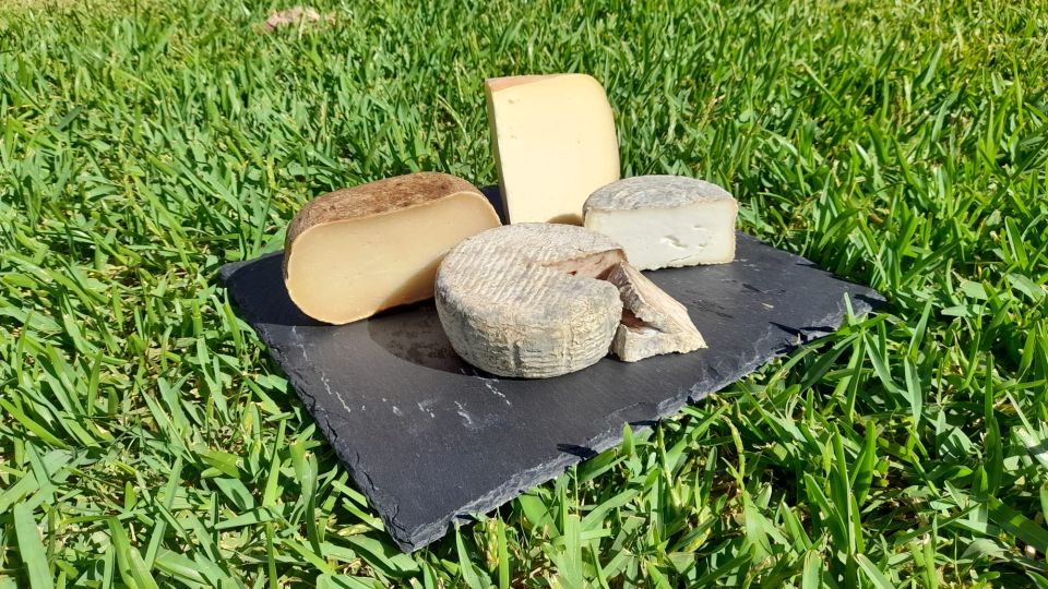 Mallorca: Local Wines & Foods Tasting - Key Things to Know Before You Go