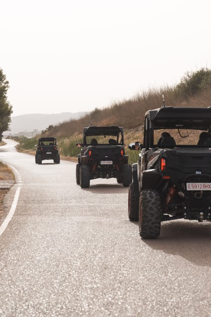 Mallorca: Mountain Buggy Adventure with Secret Coves Tour - Driving the Buggy: Freedom, Limits, and Why Insurance Matters