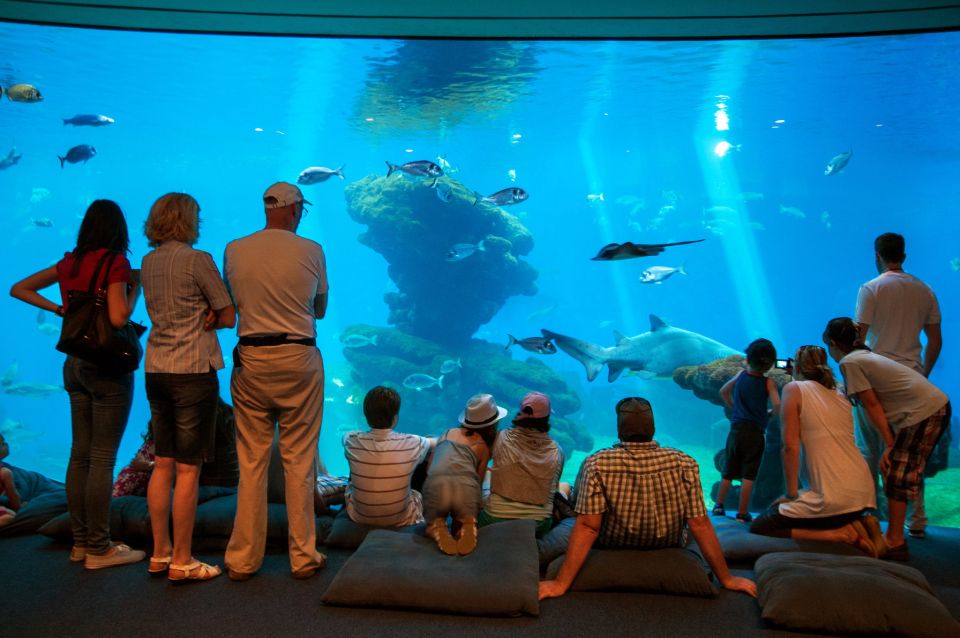 Mallorca: Palma Aquarium Tickets with Transfer - Key points before you go