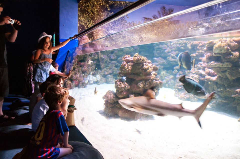 Mallorca: Palma Aquarium Tickets with Transfer - Getting from Avinguda de la Platja to Palma Aquarium
