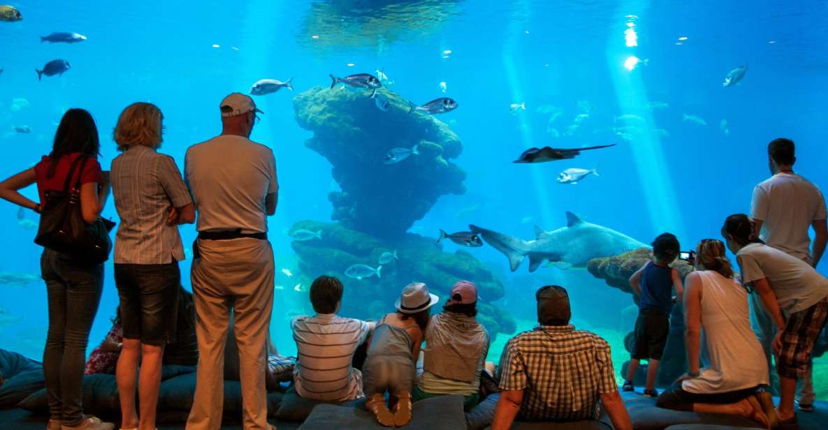 Mallorca: Palma Aquarium Tickets with Transfer - Big Blue: Europe’s largest shark aquarium (and why it’s worth the time)