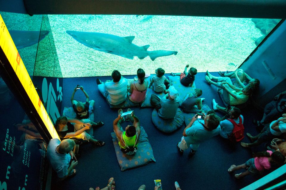Mallorca: Palma Aquarium Tickets with Transfer - Pirate Ship fun: great for kids, still enjoyable for adults
