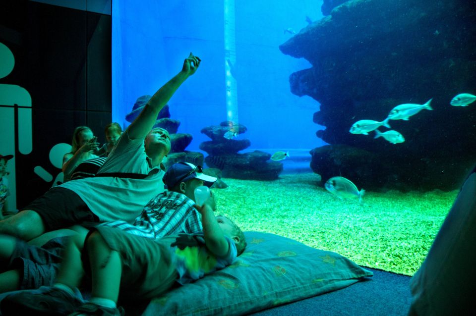 Mallorca: Palma Aquarium Tickets with Transfer - Price and value: what $55 gets you (and how to judge it)