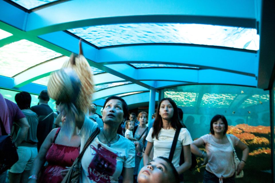 Mallorca: Palma Aquarium Tickets with Transfer - Time in transit: a full day that doesn’t feel wasted