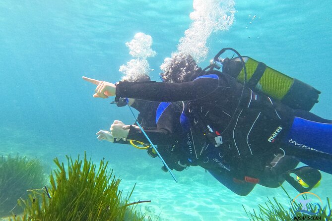 Mallorca PRIVATE Reservation<em>Scuba dive + photo/video – Key Highlights You’ll Notice Right Away’ /></p>
<ul>
<li><strong>Private setup with only your group</strong>: 1 instructor for up to 2 people, so you’re not squeezed into a large class vibe</li>
<li><strong>Shore start + shallow breathing practice</strong>: begin around 1m so your body can adjust before going deeper</li>
<li><strong>Max depth is kept low</strong>: about 5 meters (and capped around 6m), which fits first-timer comfort</li>
<li><strong>GoPro Hero 10 media included</strong>: you’ll get underwater photos and video from an assistant</li>
<li><strong>Safety help that feels practical</strong>: instructor support plus equipment that inflates like a lifejacket if needed</li>
<li><strong>Sea life right near you</strong>: octopus and cuttlefish, plus fish like sea bream and moray eel (and more)</li>
</ul>
<h2 id="palma-area-welcome-where-the-day-starts-and-why-it-helps">Palma Area Welcome: Where the Day Starts and Why It Helps</h2>
<p><img width="669" height="446" decoding="async" src=
