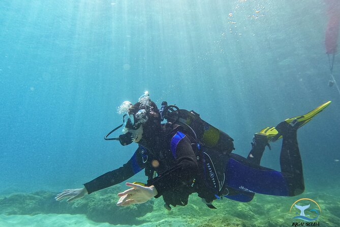Mallorca PRIVATE Reservation<em>Scuba dive + photo/video – Instructors Alex and Jose (Plus Nuria): Why the Human Factor Matters’ /><br />
The center arranges private dives with <strong>1 instructor to 2 people</strong>. The named instructors include <strong>Alex and Jose</strong>, and in some experiences <strong>Nuria</strong> is also mentioned. The consistent theme is calm, patient teaching.</p>
<p><p>That’s not fluff. On your first day, your mind will look for reasons to worry. If your instructor can explain what you’re feeling and physically help you when needed, you spend less time fighting fear and more time learning the right habits.</p>
</p>
<p><p>The experience is also described as “training team” led, and the repeated emphasis in the info is on feeling safe. In other words, the goal isn’t just competence. It’s comfort first, so your body accepts the unfamiliar sensation of breathing underwater.</p>
</p>
<h2 id="price-the-extra-on-the-day-fee-and-what-youre-really-paying-for">Price, the Extra On-the-Day Fee, and What You’re Really Paying For</h2>
<p><img width="669" height="446" decoding="async" src=
