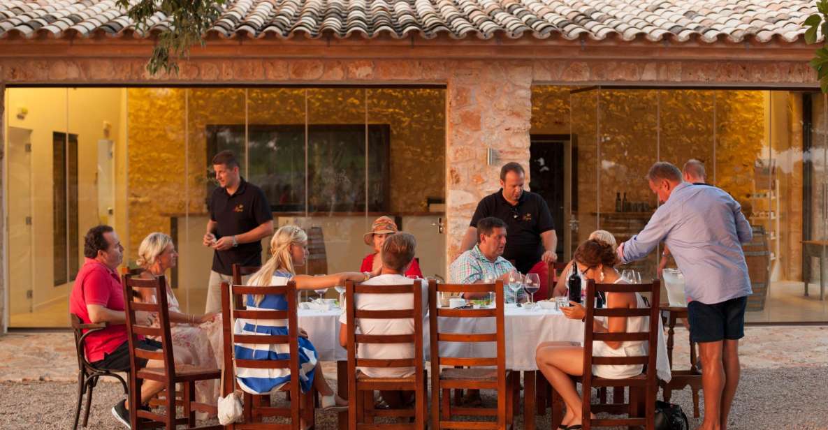 Mallorca: Private Wine Tour with Tasting and Picnic - Practical tips so your day feels smooth