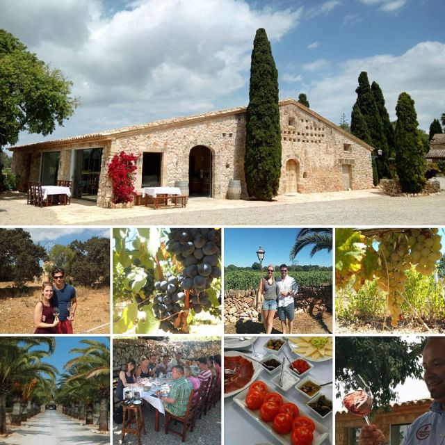 Mallorca: Private Wine Tour with Tasting and Picnic - A half-day winery escape with pickup that actually helps
