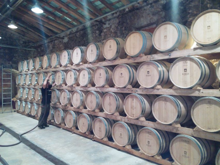 Mallorca: Private Wine Tour with Tasting and Picnic - The tasting: how the wines and tapas work together