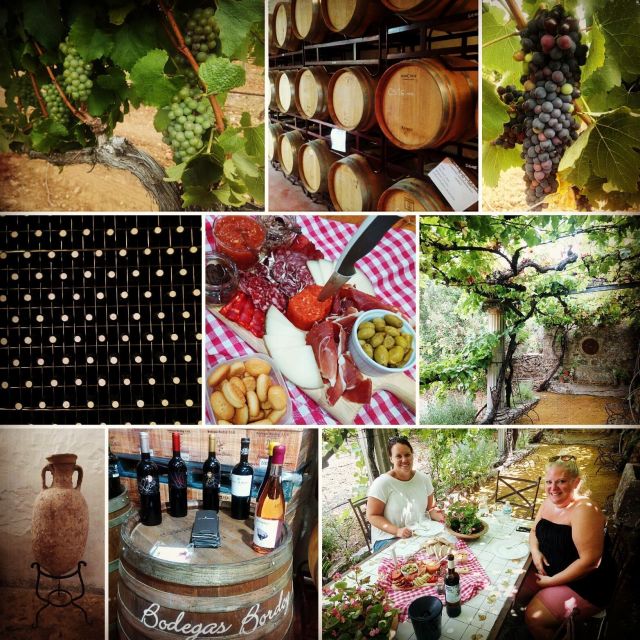 Mallorca: Private Wine Tour with Tasting and Picnic - Buying wine at the end: take home what you liked