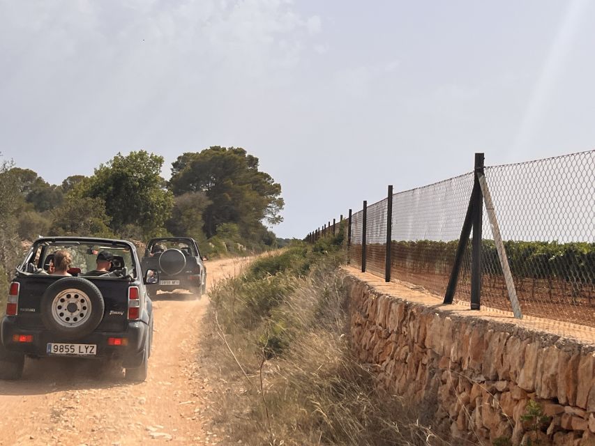Mallorca: Self Drive 4x4 Jeepsafari Tour - Meeting La Terraza: Quick Start, No Confusion Needed