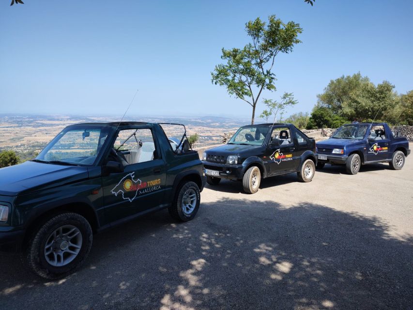Mallorca: Self Drive 4x4 Jeepsafari Tour - Underwater Life: What You’re Actually Doing