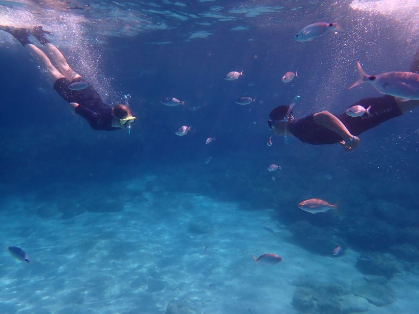 Mallorca: Snorkeling in a Beautiful Nature Reserve - Practical checklist: what you should bring to feel set up for success