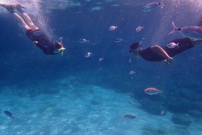 Mallorca: Snorkeling in a Beautiful Nature Reserve - Where you meet and how you avoid the classic van-missed panic