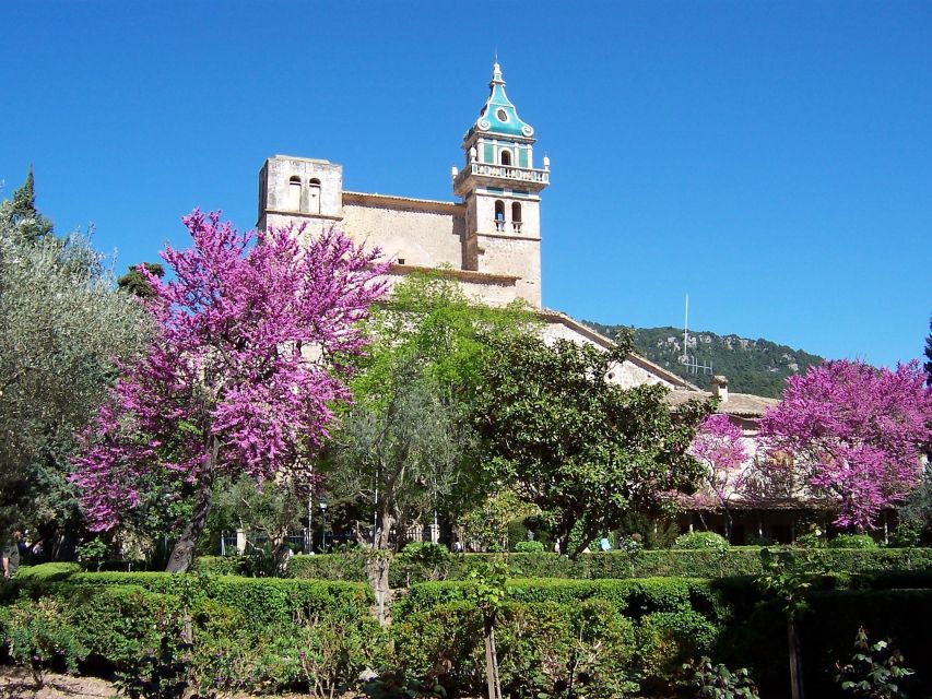 Mallorca: Soller Port and Valldemossa - Key things to know before you go
