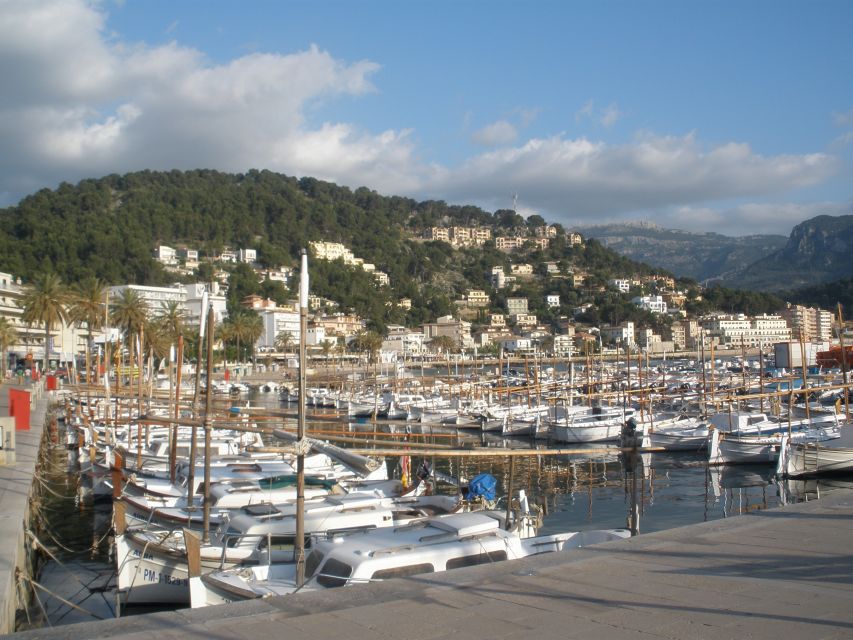 Mallorca: Soller Port and Valldemossa - Mountain roads and pacing: what to expect from the ride
