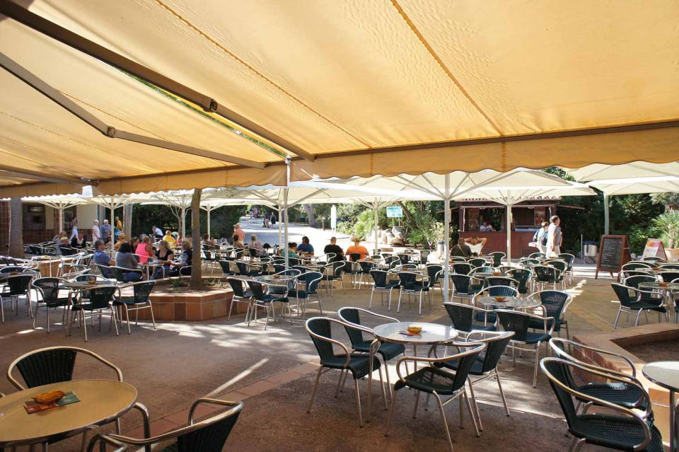 Mallorca: Ticket for Caves of Drach with Pickup Service - The 10-minute classical recital: short, weird, and memorable
