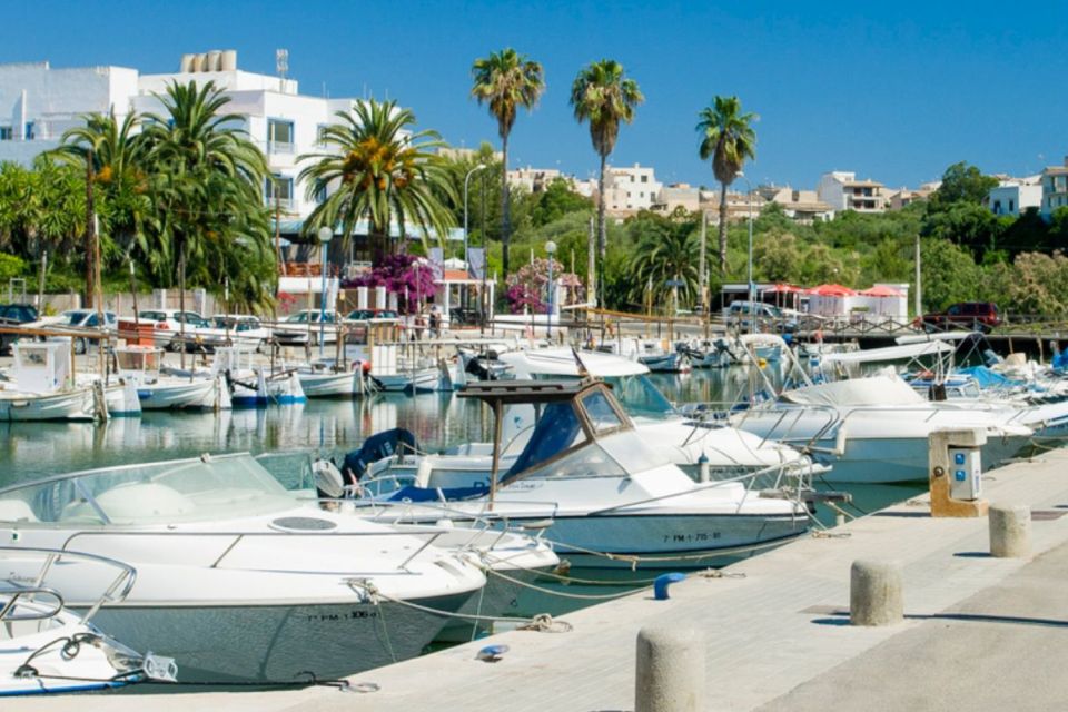 Mallorca: Ticket for Caves of Drach with Pickup Service - Value and who this tour makes sense for