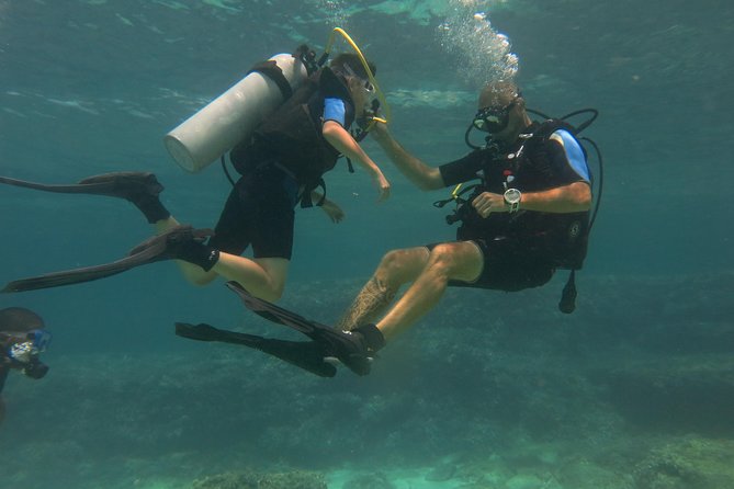 Mallorca: Try Scuba Diving in a Beautiful Nature Reserve - Cala Delta Bay: 6 meters, shore entry, and a protected-water feel