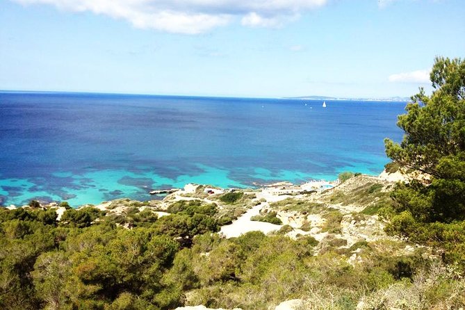 Mallorca: Try Scuba Diving in a Beautiful Nature Reserve - On the water with AquaSub guides: safety gear and real small-group attention