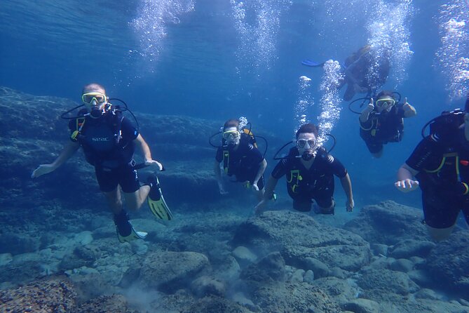 Mallorca: Try Scuba Diving in a Beautiful Nature Reserve - The PADI Medical Questionnaire and flight timing rules you must respect