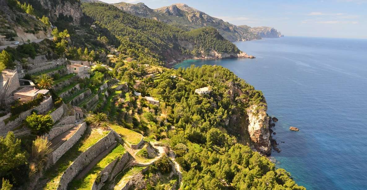 Mallorca: Valldemossa & Soller Tour - Key Points You’ll Care About Before Booking