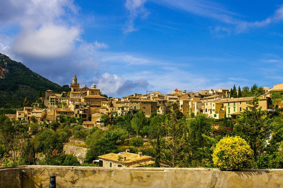Mallorca: Valldemossa & Soller Tour - Sóller Stop: Orange Trees, Terrace Time, and a Real Town Stroll