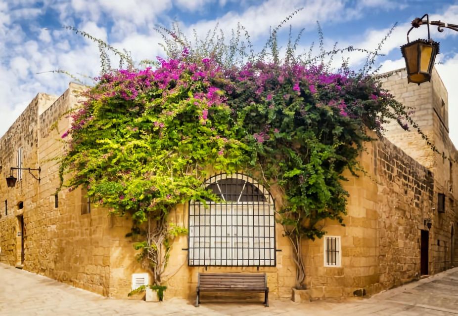 Malta: Mdina, Dingli Cliffs and San Anton Botanical Gardens - Guide-led storytelling in plain language (and in your language)