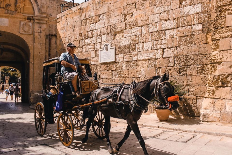 Malta: Mdina, Dingli Cliffs and San Anton Botanical Gardens - Comfort tips that make the day easier
