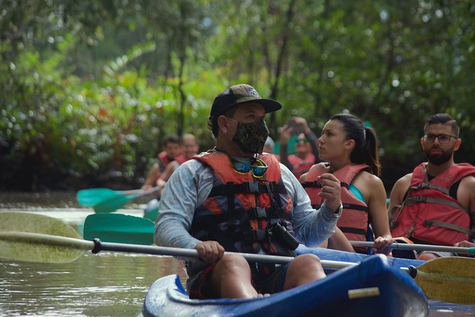 Mangrove Damas Island Kayak Tours - Key Highlights Worth Planning For
