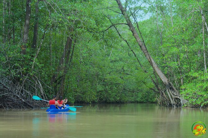Mangrove Damas Island Kayak Tours - The 4-Hour Plan Around Isla Damas (and Why Tides Matter)