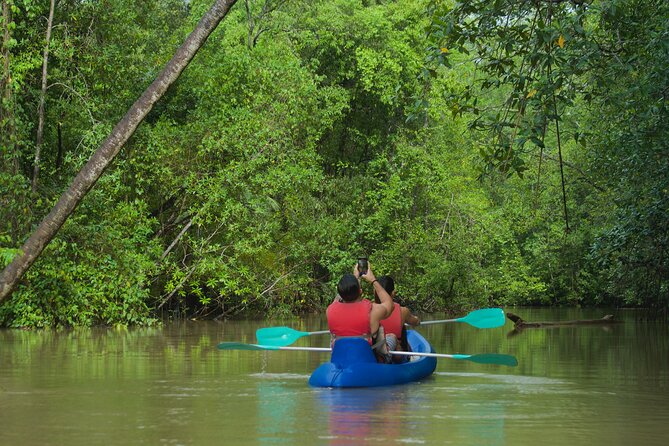 Mangrove Damas Island Kayak Tours - Open-Seat Kayak Feel: Peaceful Water, Real Paddling