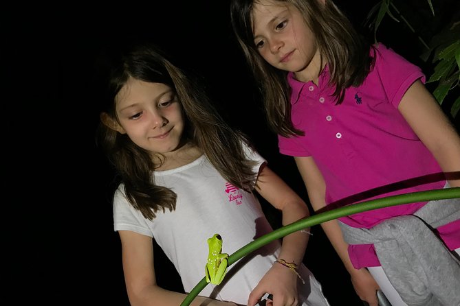 Manuel Antonio Herping Night Tour (Reptiles and Amphibians) - Price and Value: What $69 Buys You in the Field