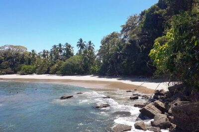 Manuel Antonio National Park; Beach & Sightseeing Day Trip from San Jose - Orotina Breakfast and the Fruit Stand Stop That Gets You in the Costa Rica Mood