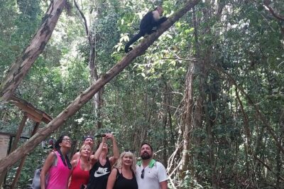 Manuel Antonio National Park guided tour - The Real Game-Changer: Telescope Optics in the Rainforest