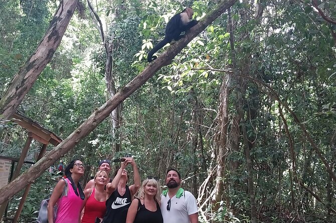 Manuel Antonio National Park guided tour - The Real Game-Changer: Telescope Optics in the Rainforest