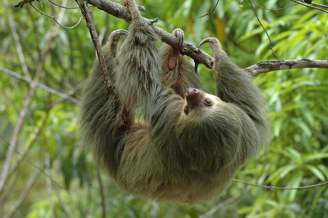 Manuel Antonio National Park Hiking Tour from Jacó - Key Things to Know Before You Go