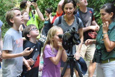 Manuel Antonio National Park Hiking Tour from Jacó - The 8:30am Walk Through Rainforest Trails: What the Guide Helps You See