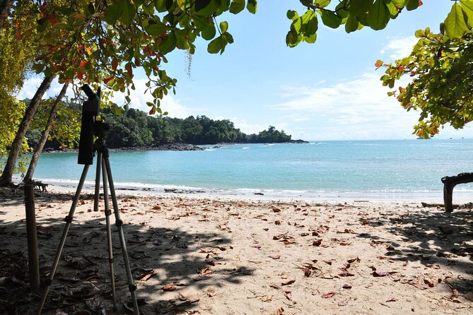 Manuel Antonio National Park Hiking Tour from Jacó - How the Guides and Drivers Change the Experience