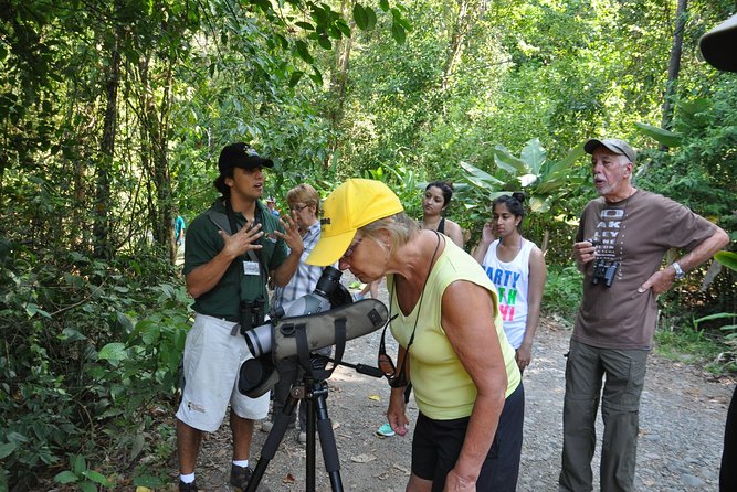 Manuel Antonio National Park Hiking Tour from Jacó - Weather and Wildlife Timing: When It’s Hot, Expectations Should Adjust