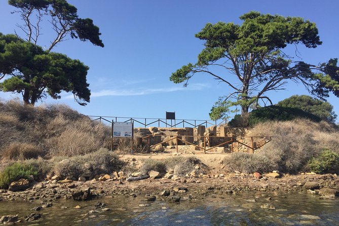 Marsala Salt Pans and Mothia Island Boat Tour - The Alessio Cicero Factor: Why the Guide Makes the Difference
