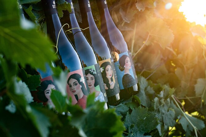 Marsala Tasting of 5 Sicilian organic wines - Key highlights worth planning around