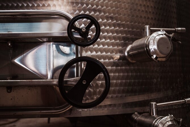 Marsala Tasting of 5 Sicilian organic wines - Who should book this Marsala tasting?