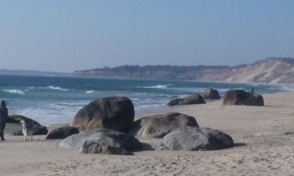 Martha's Vineyard: All Island Tour - Jaws filming spots plus the Elizabeth Islands view