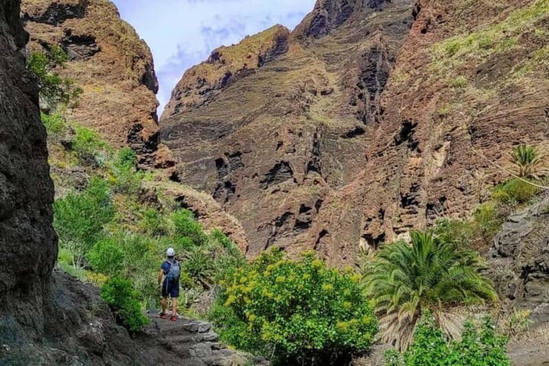 MASCA GORGE Trail: Guided Hike - Water taxi to Los Gigantes: the view from the sea is the payoff