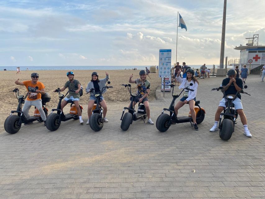 Maspalomas: 2-Seater Chopper E-Scooter Rental - Charca (Oasis of Maspalomas): A Calm Nature Detour